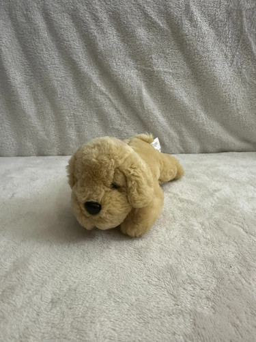 Pedigree promotional puppy - , dog