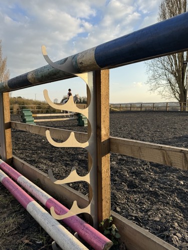 Horse arena show jump 100mm - arena,