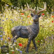 Large proud stag antlers - large,