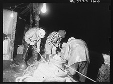 Gloucester Massachusetts 1942