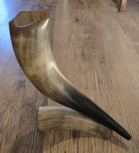 Vintage polished natural horn - polished,