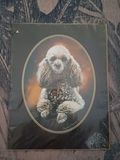 Pollyanna Pickering Classic