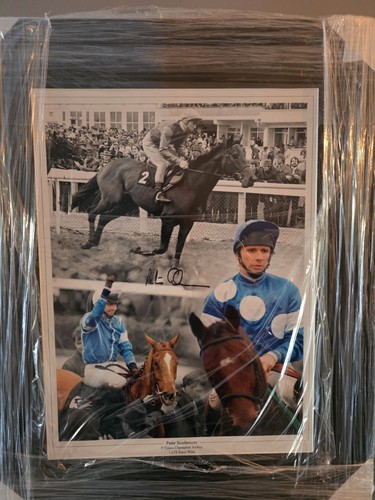 Grand national peter scudamore - grand,