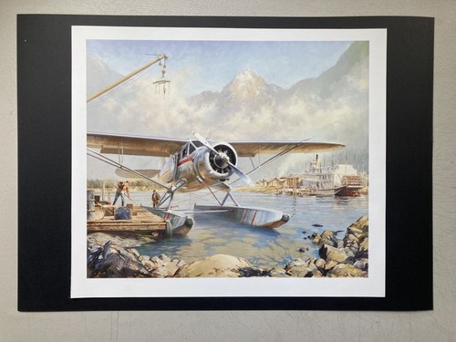 Aviation print yukon spring - ,