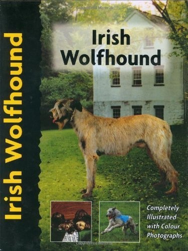 Irish wolfhound - irish,