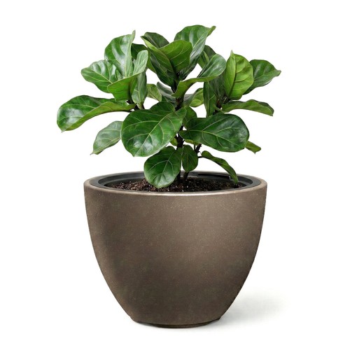 Flower pot 8cm weather - 29.8cm,