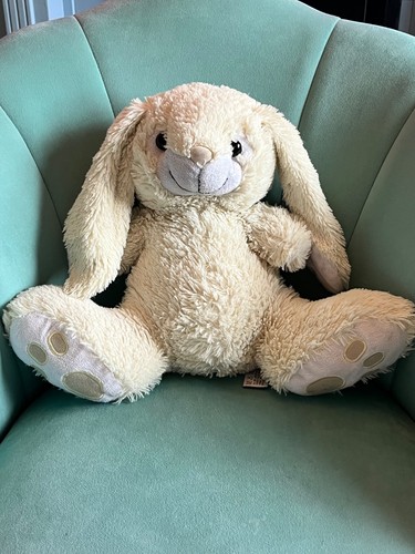 Pippin bunny rabbit - rabbit, lovable