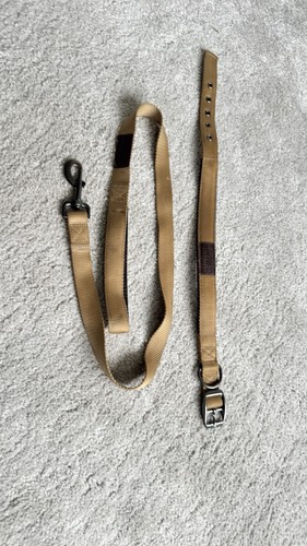Wainwright dog collar and - wainwright,