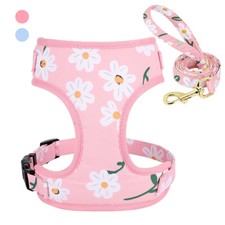 Comfort Breathable Mesh Dog