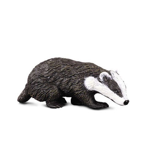 Collecta eurasian badger - eurasian,