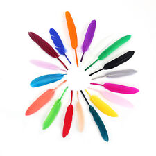 Neotrims 10 Pcs Goose Quill