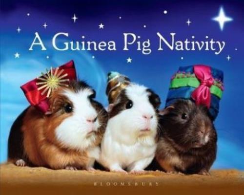 Bloomsbury guinea pig - guinea,
