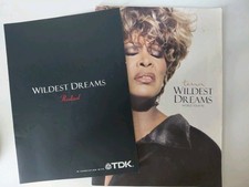 Tina Turner Wildest Dream