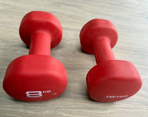 Dumbbells pair 8kg 2 - pair,
