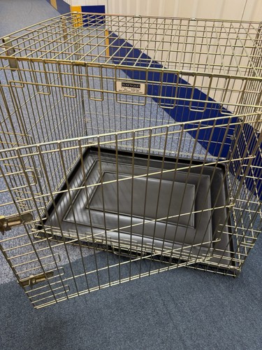 Folding metal dog crate - dog,