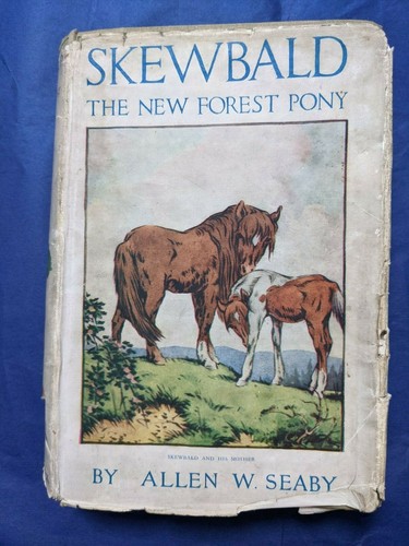 Skewbald the new forest - new, pony
