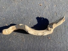 All natural manzanita, 10” hand sanded root for aquarium, terrarium & bird cage 