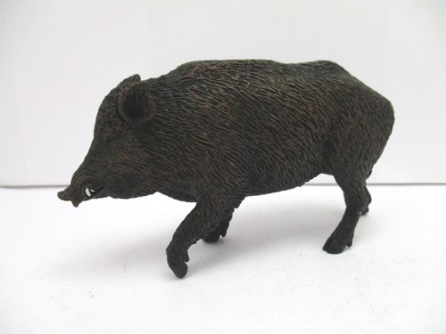 Mojo wild boar animal - mojo,