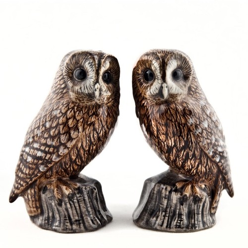 Tawny owl salt and pepper - tawny,