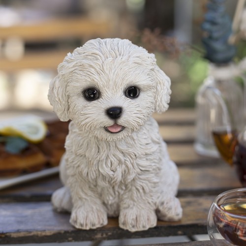 Soreal white bichon frise - soreal,