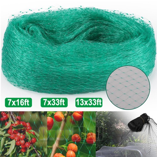 Anti bird netting - 13*33,