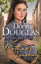 A mother's journey (Paperback)