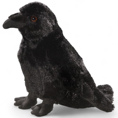 Carl dick raven crow approx - carl,