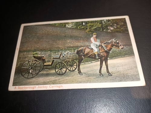 Horse jockey carriage - horse,