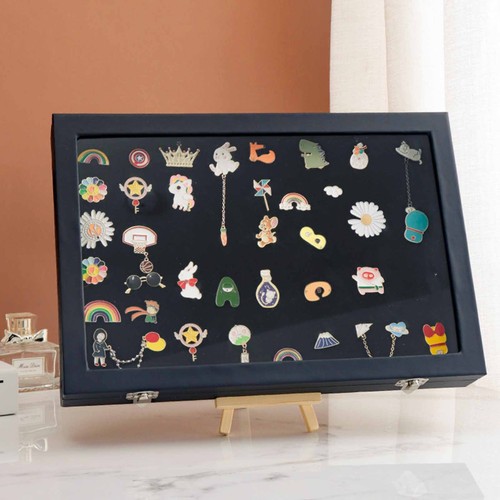 Pin display case - pin,