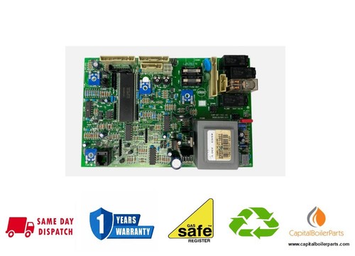Ariston microgenus mffi - ariston,