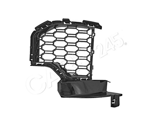 Bumper grille right fits - bumper,