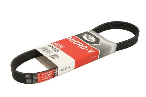 Gat multi ribbed - gat, belt