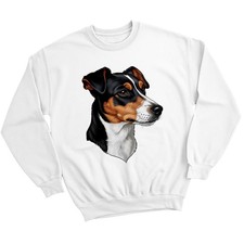 Dog Portrait Of Jack Russell