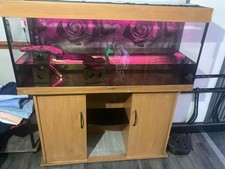 Large glass aquarium - glass,