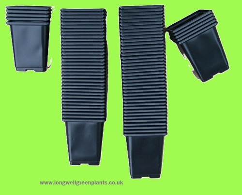 Plant pots 9cm x30 - x30, |