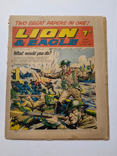 Lion and eagle - comic, may