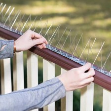 Steel Bird Spikes Fences Wall Window Ledge Wide Pigeon Deterrent Anti Climb 3.3M