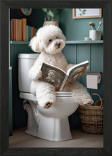 Bichon Frise on the Toilet