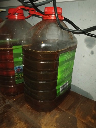 Used cooking oil - cooking, oil,