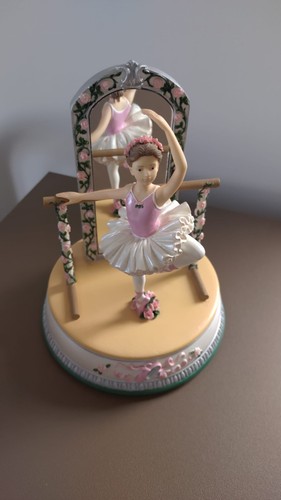 Pink ballerina roses mirror