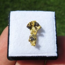 Rare Natural Crystallized Gold