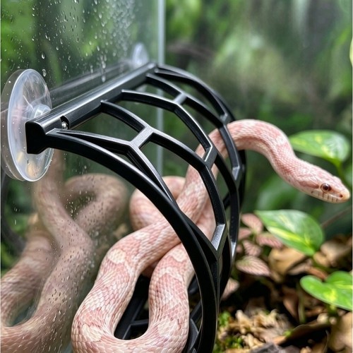 Climbing rack for snakes with - for,