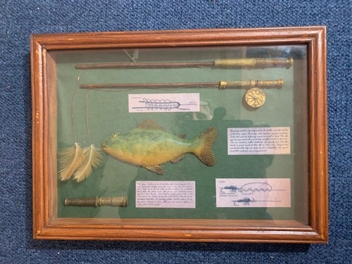 Framed fish and flies wall - framed, art