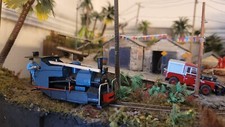 Oo9 Darjeeling And Himalayan