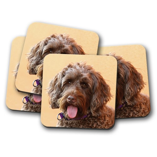 Set adorable brown - 4,