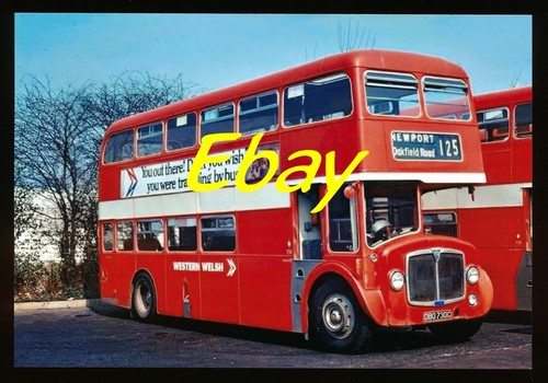 Bus photo aec renown western - aec, renown,