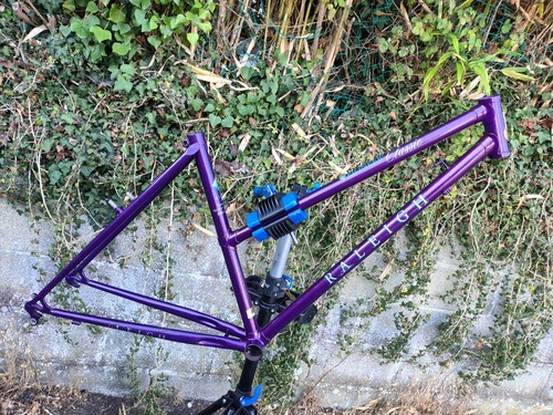 Retro raleigh pioneer - raleigh,