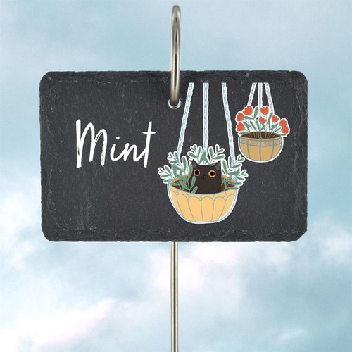 Mint herb garden - marker, cat