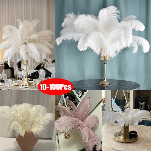 Large ostrich feathers plume - ostrich,