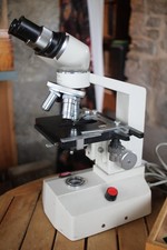 Karl Kaps Electronic